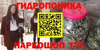 сатива Кинель