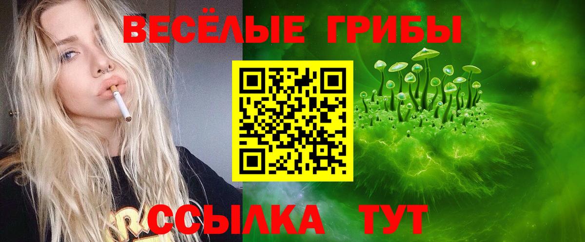 Псилоцибиновые грибы MAGIC MUSHROOMS  Вход с VPN  купить наркотики сайты  Красноармейск 