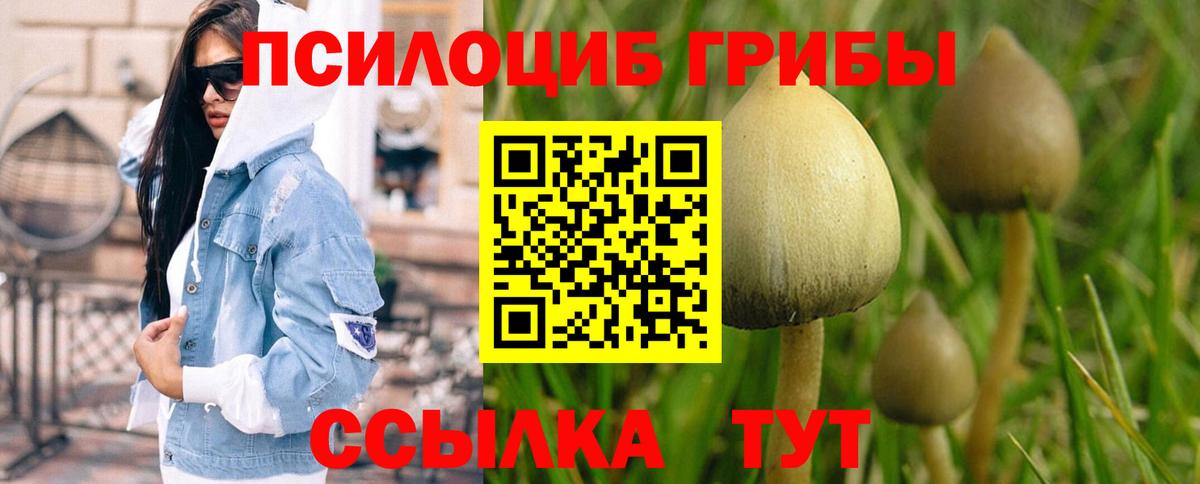 Галлюциногенные грибы MAGIC MUSHROOMS Красноармейск